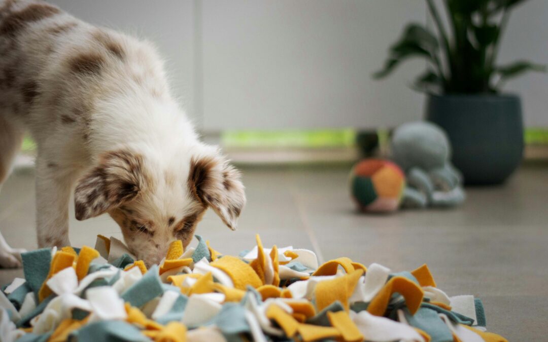 Securing Your Home: Essential Insights into Common Household Toxins for Pets